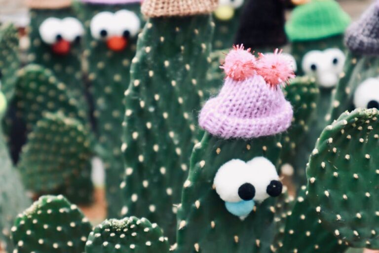 Crochet cactus pattern displayed with playful knitted cacti wearing colorful hats