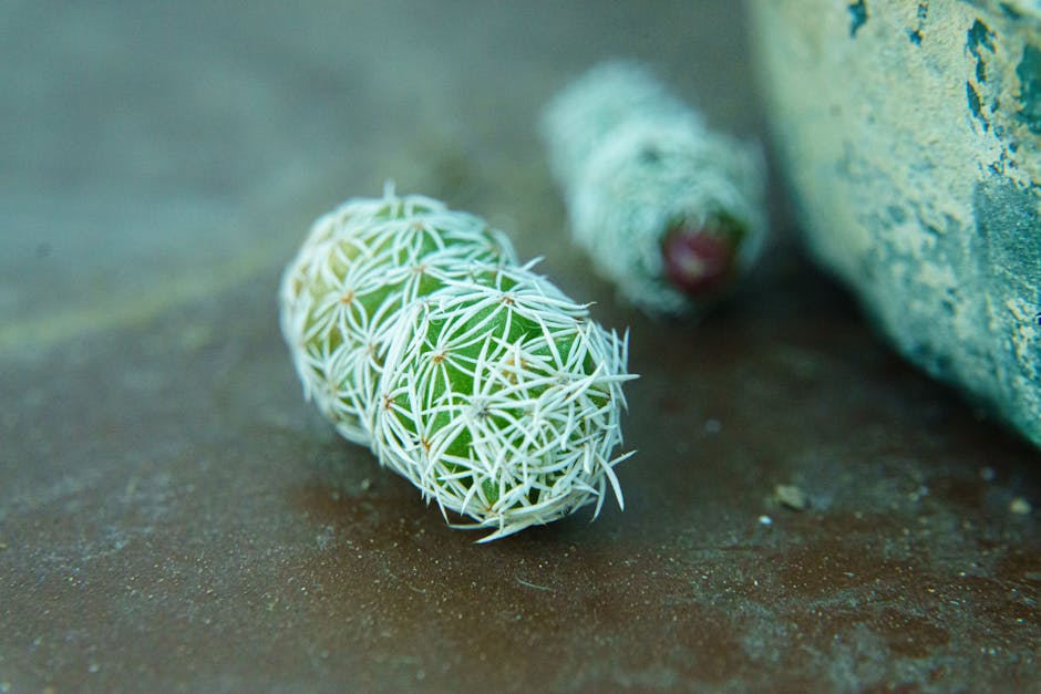 Small cactus sprout in a pot, perfect reference for your crochet cactus pattern
