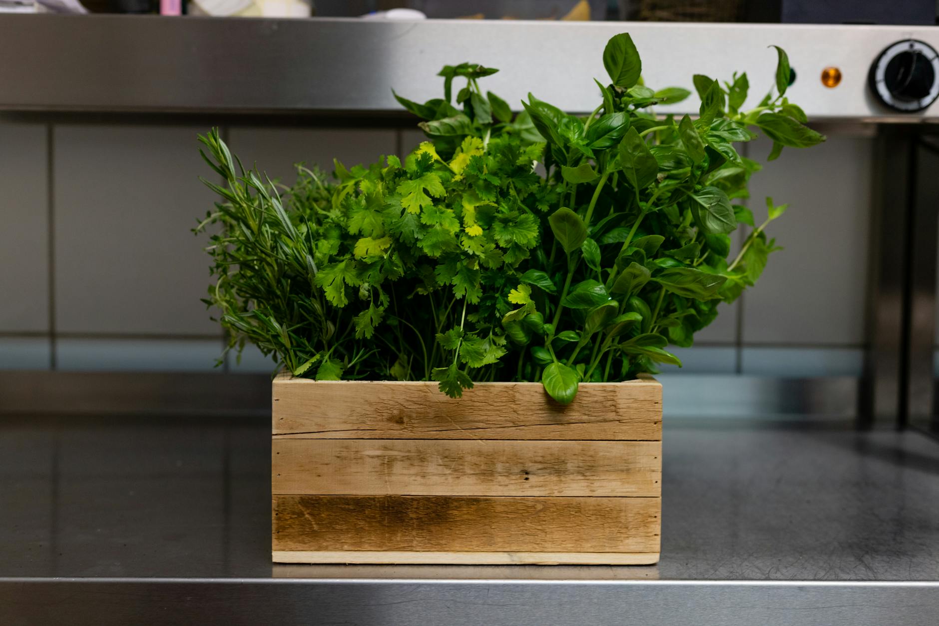 fresh herbs in a kitchen setting perfect for displaying a crocheted dish towel
