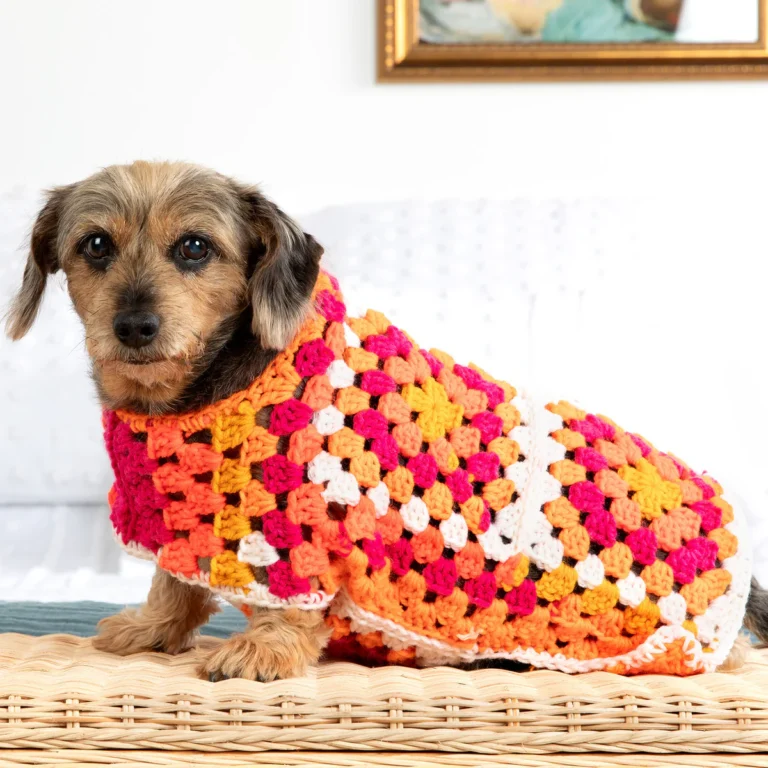 Granny Square Dog Sweater Patterns: 7 Free Designs