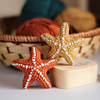 free crochet ocean toys patterns starfish design