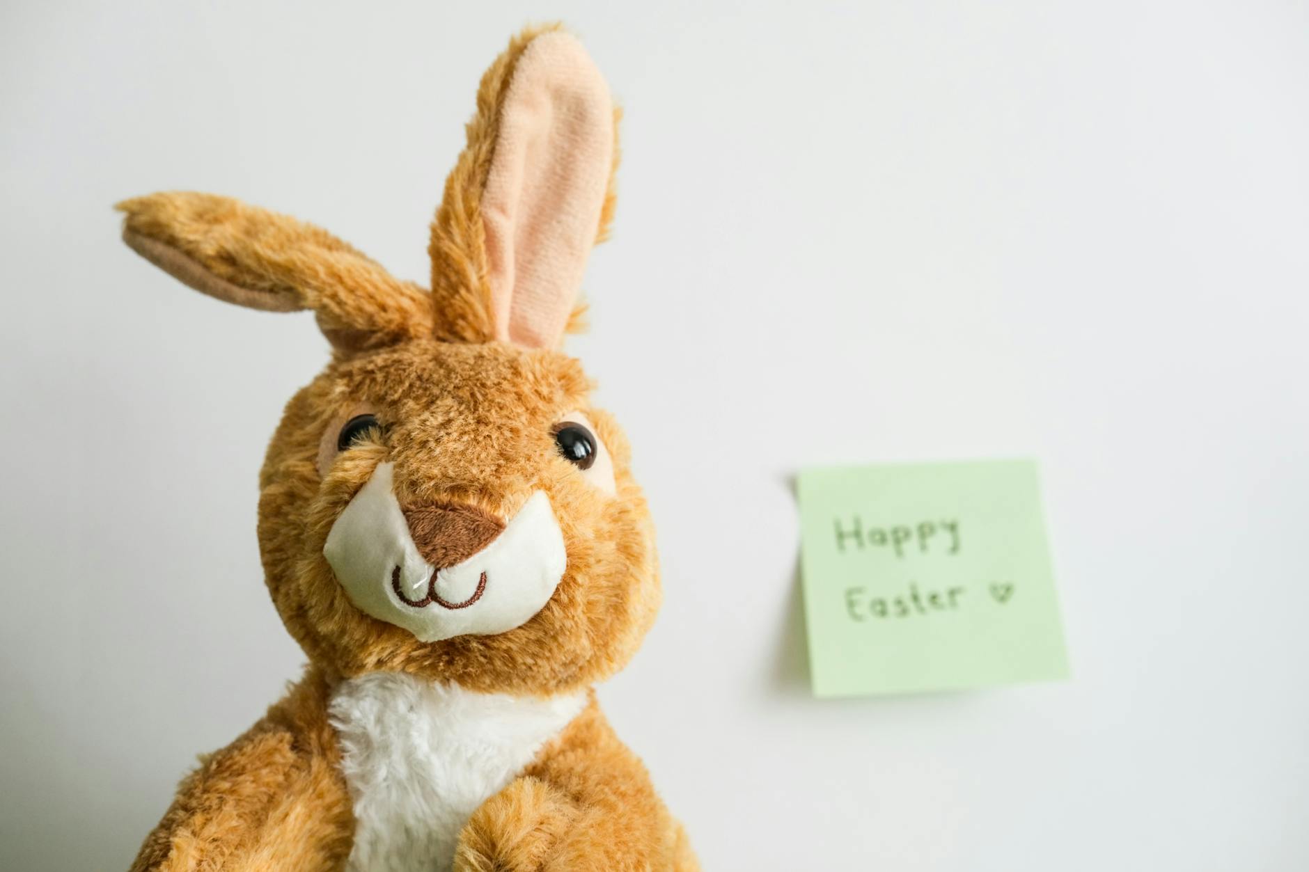crochet bunny patterns guide - Adorable Easter bunny plush with 'Happy Easter' note on white background.