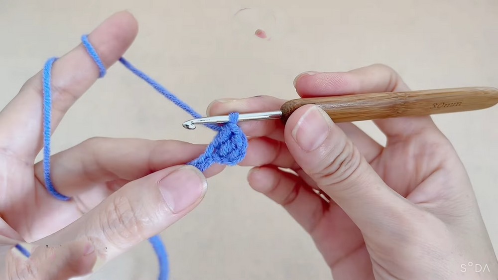 Materials needed for crocheting a pet collar yarn and hook