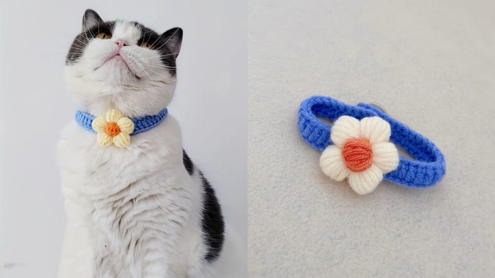 Finished crochet pet collar with decorative touches
