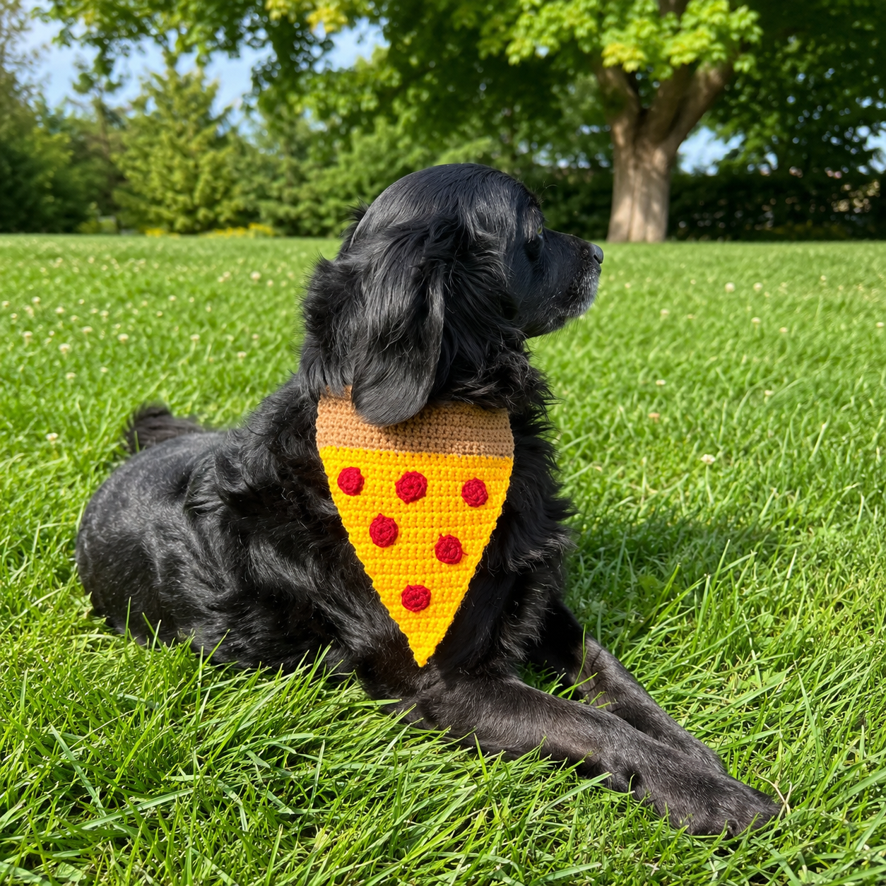 Crochet pizza slice dog bandana on a black dog