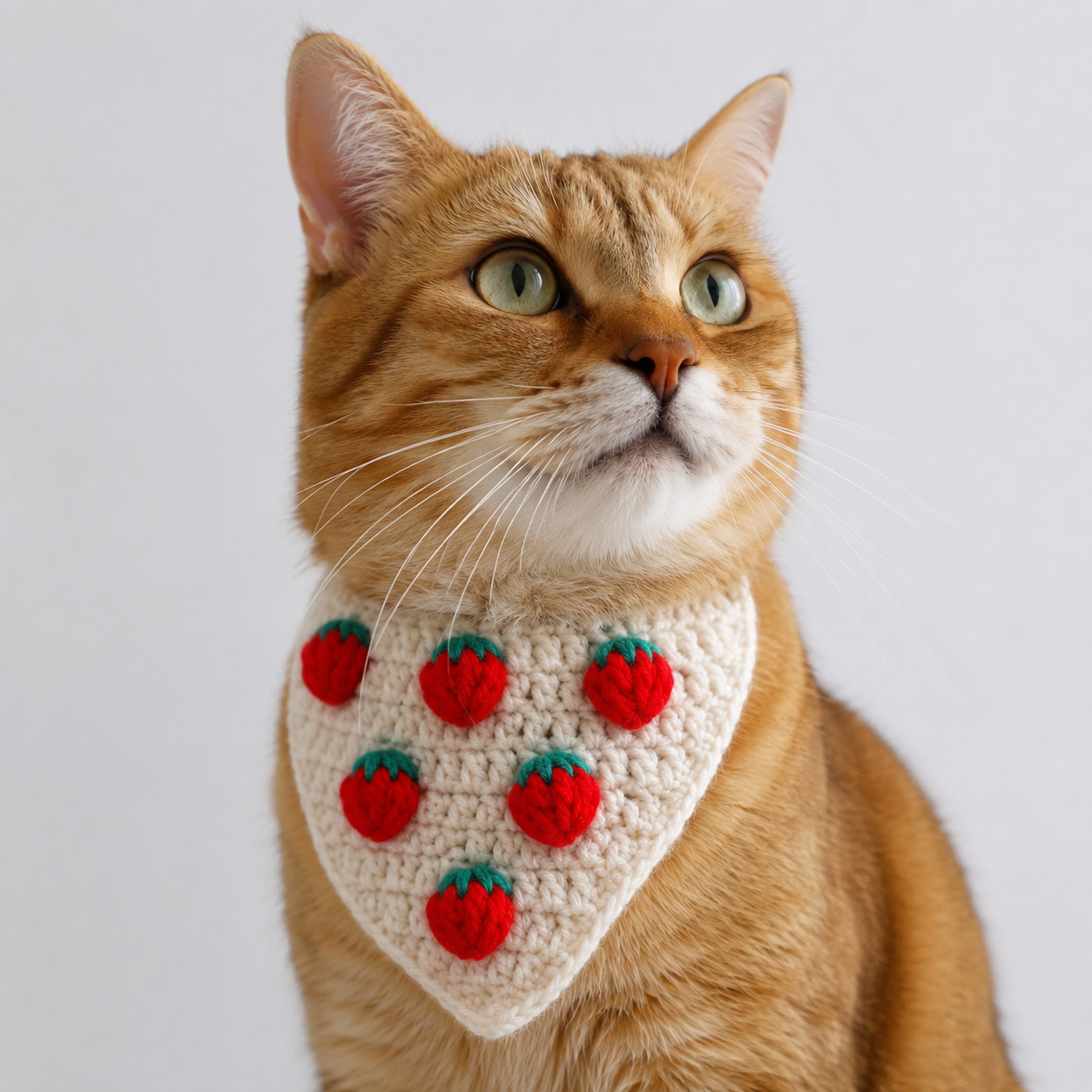 Crochet strawberry patch cat bandana on an orange cat