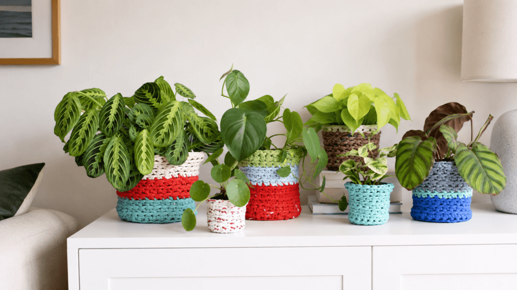 Collection of chunky crochet plant-pot covers in aqua, red, green, blue, and neutral colors