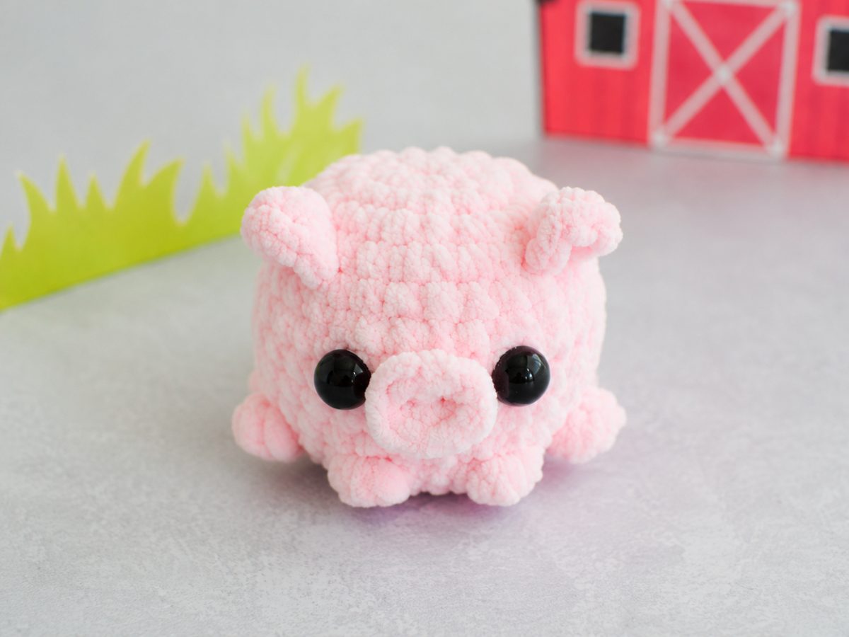 Front view of the pocket pig showing the flat spiral snout centered between the eyes
