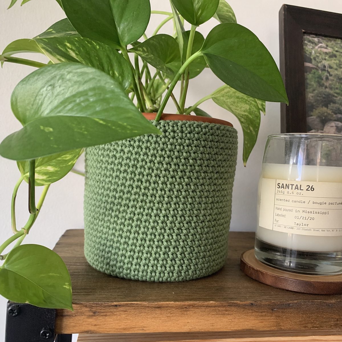 Handmade sage green crochet plant pot cover wrapping a terracotta pot with a leafy pothos, on a wooden shelf beside a scented candle in natural daylight