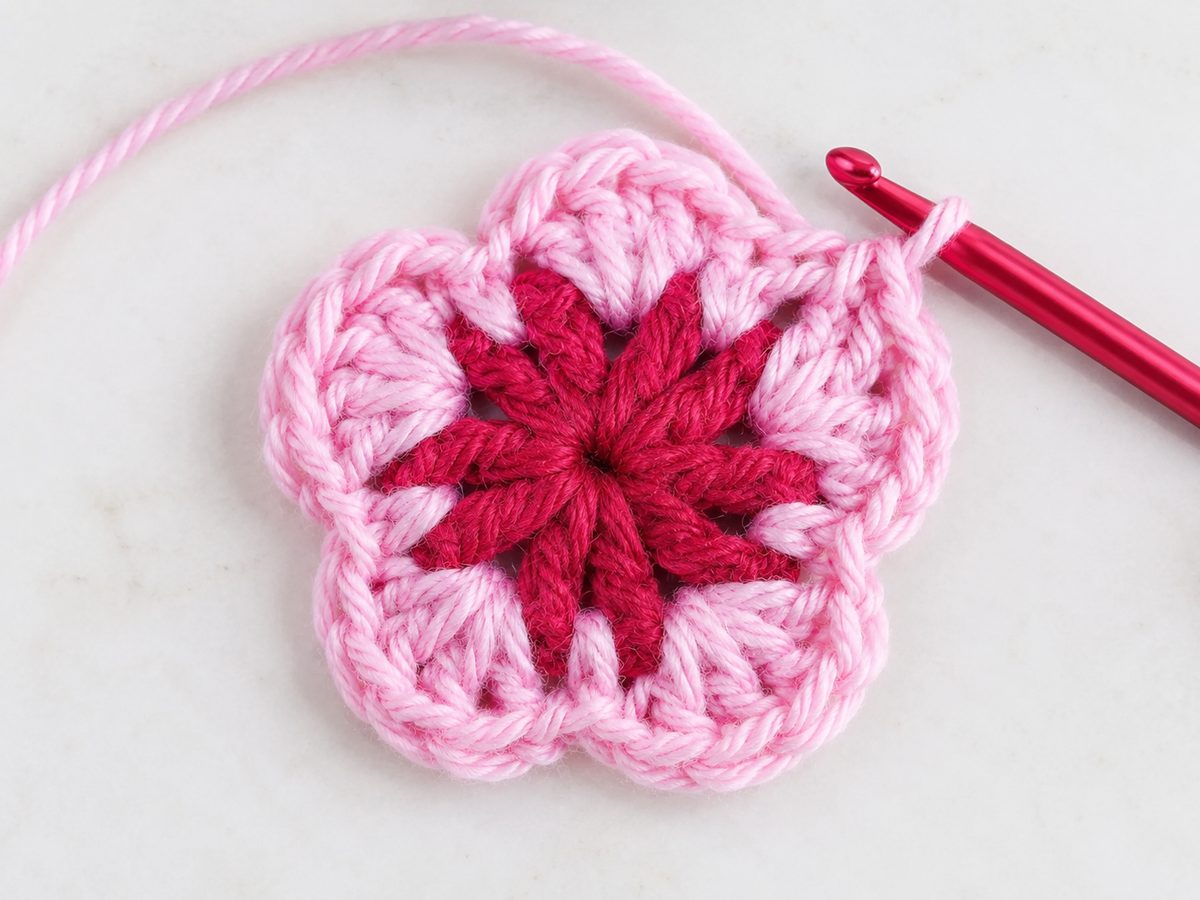 Five pointed pale pink petals finished around the deep raspberry center of the flower