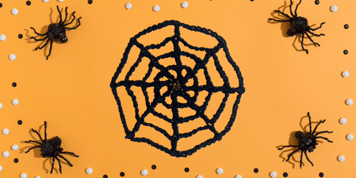 Spider Web