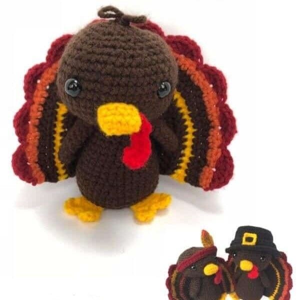 Timmy the Turkey