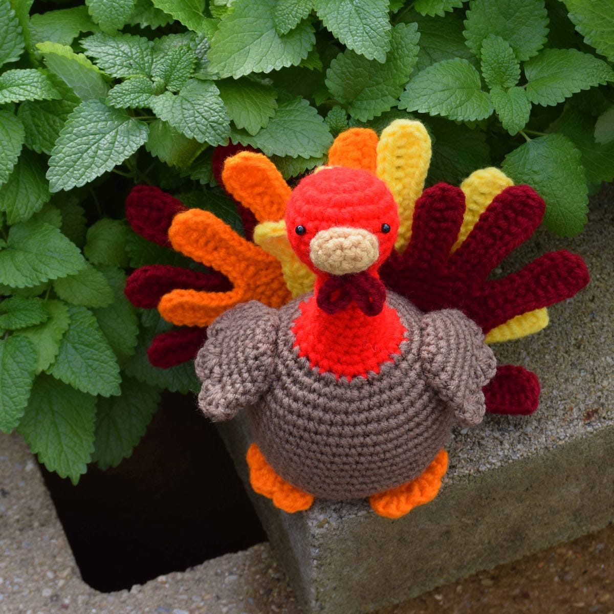 Hand Turkey