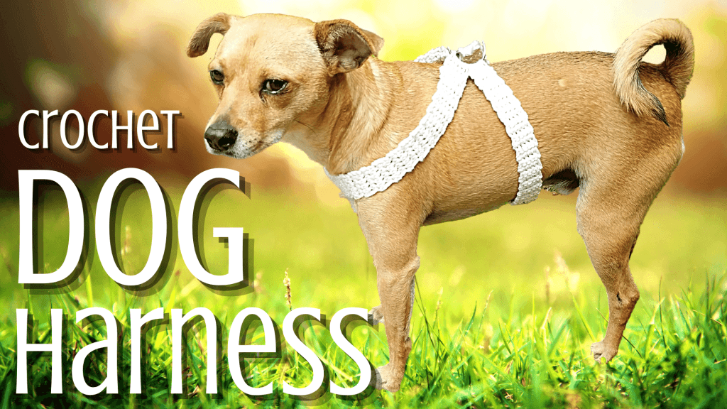 Quick and Easy Dog Harness