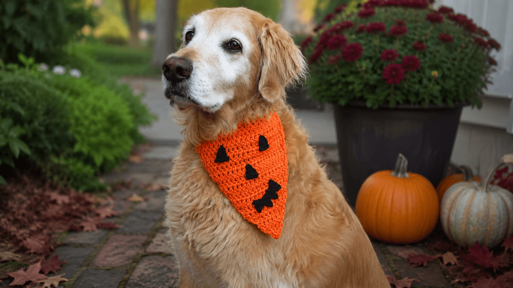 Dog wearing an orange jack-o-lantern crochet bandana